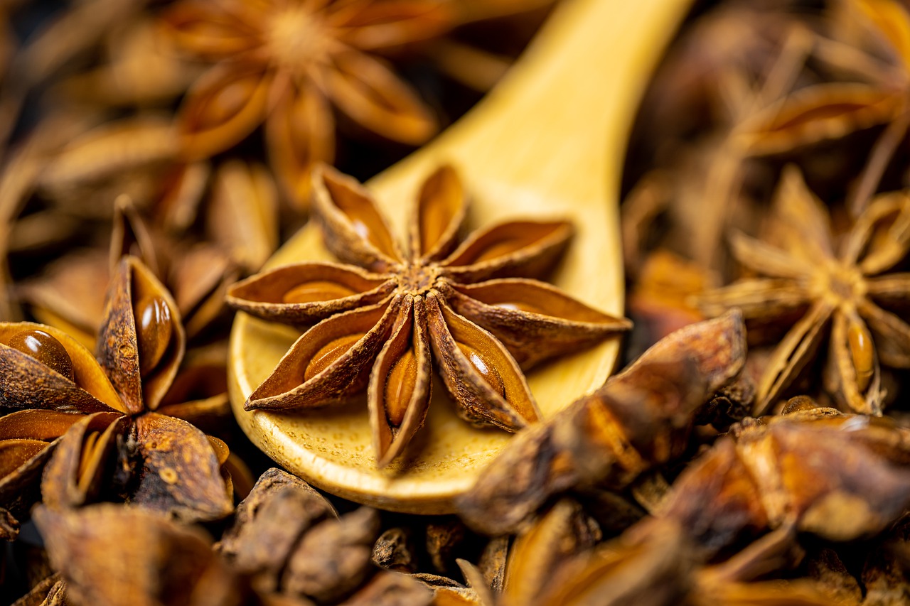 Star Anise is a special spice that's indispensable in Vietnam cuisine